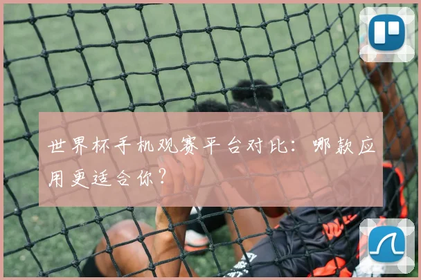 世界杯手机观赛平台对比：哪款应用更适合你？