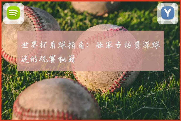 世界杯看球指南：独家专访资深球迷的观赛秘籍
