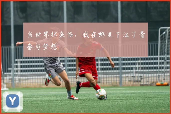 当世界杯来临，我在哪里下注了青春与梦想