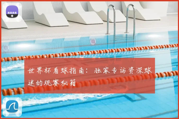 世界杯看球指南：独家专访资深球迷的观赛秘籍