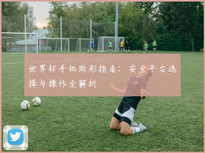 世界杯手机购彩指南：安全平台选择与操作全解析