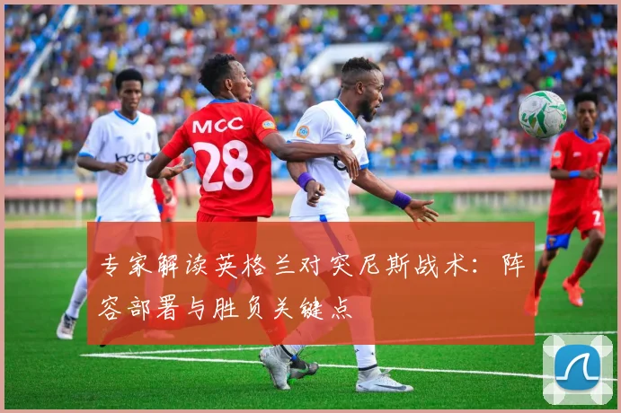专家解读英格兰对突尼斯战术：阵容部署与胜负关键点