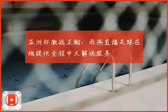 亚洲杯激战正酣，雨燕直播足球在线提供全程中文解说服务