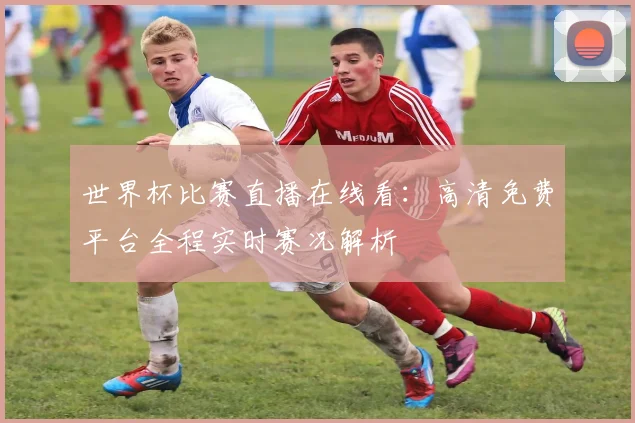 世界杯比赛直播在线看：高清免费平台全程实时赛况解析