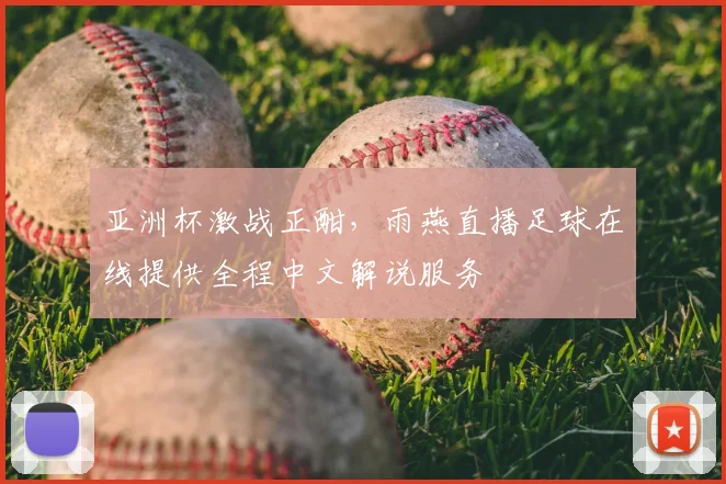 亚洲杯激战正酣，雨燕直播足球在线提供全程中文解说服务